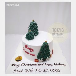 Bánh sinh nhật Merry Christmas