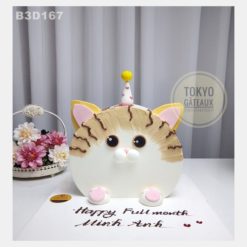 Bánh sinh nhật Meo Xinh
