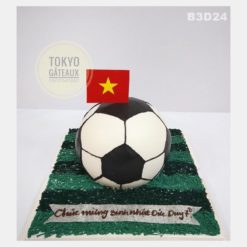 Bánh sinh nhật Bóng Tròn Sân Cỏ