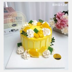 Bánh sinh nhật Cam Xoài