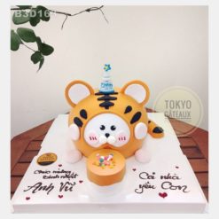 Bánh sinh nhật Hổ Cam