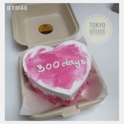 Bento Cake 300 Days