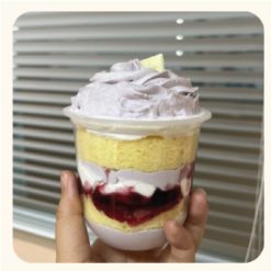 Gato cup Việt quất