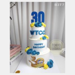 Bánh sinh nhật Công Ty