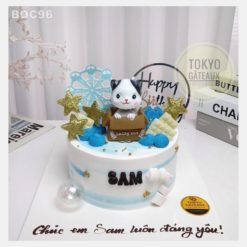Bánh sinh nhật Cat In The Box