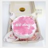 Bento Cake 100 Days