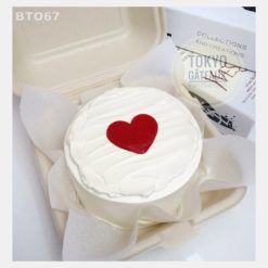 Bento Cake Big Love