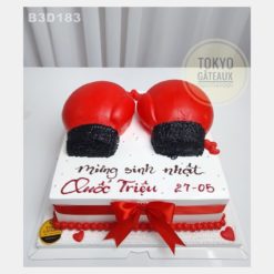 Bánh sinh nhật Võ Sĩ