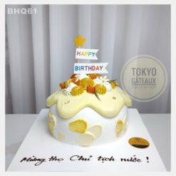 Bánh sinh nhật Mango Land