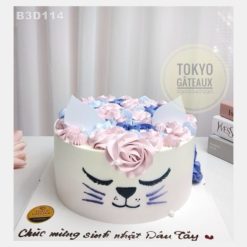 Bánh sinh nhật Lady Cat