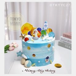 Bánh sinh nhật Phi Hành Gia