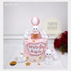 Bánh sinh nhật Mèo Khinh Khí Cầu