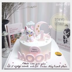 Bánh sinh nhật Moon Cat