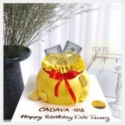 Bánh sinh nhật Hũ Vàng