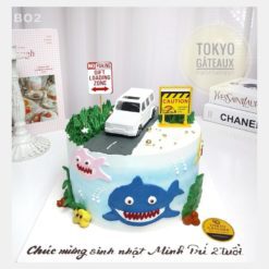 Bánh sinh nhật Oto Và Biển Cả