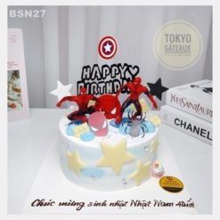 Bánh sinh nhật Cặp Đôi Siêu Nhân