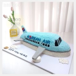 Bánh sinh nhật Korean Air