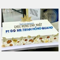 Bánh sinh nhật Vietnam Airlines
