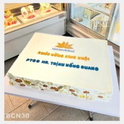 Bánh sinh nhật Vietnam Airlines