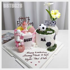 Bánh sinh nhật Công chúa macaron và bóng đá