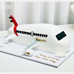 Bánh sinh nhật máy bay Emirates