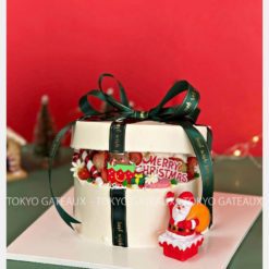 Bánh sinh nhật Hộp Quà Noel