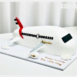 Bánh sinh nhật máy bay Emirates