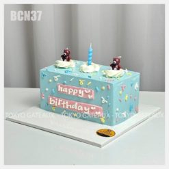 Bánh sinh nhật Hộp Quà Màu Sắc